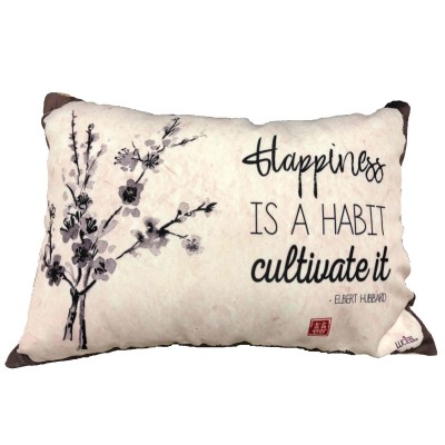  Pillow  Hapiness / Cultvate it    